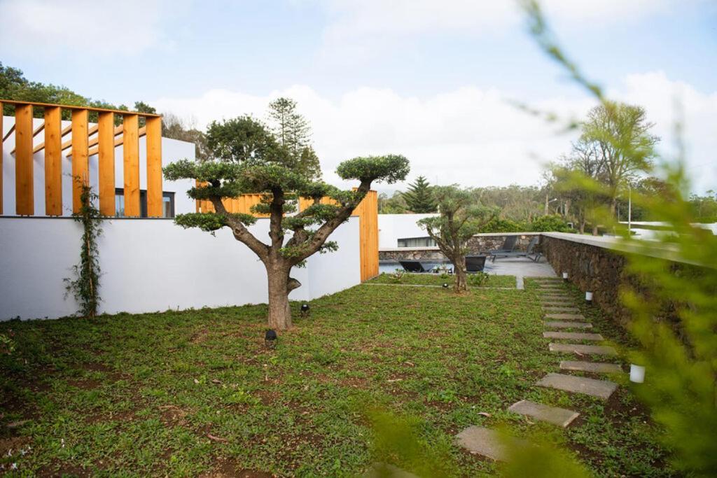 Do Olival * Ponta Delgada